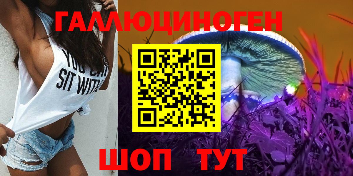 продажа наркотиков  Вход с VPN  Камень-на-Оби  Псилоцибиновые грибы Psilocybe 