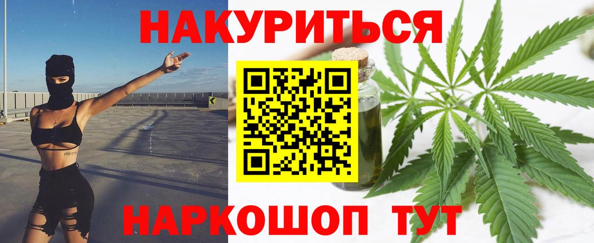Канабис сатива Камень-на-Оби